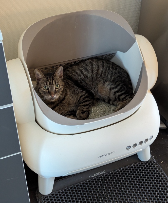 Afbeeldingslocatie: https://tweakers.net/i/m5kCGFUPlep649t9ax5Fm-UjvmQ=/x800/filters:strip_icc():strip_exif()/f/image/6YxC5aD8nTKEUbjrlujcdmnh.jpg?f=fotoalbum_large