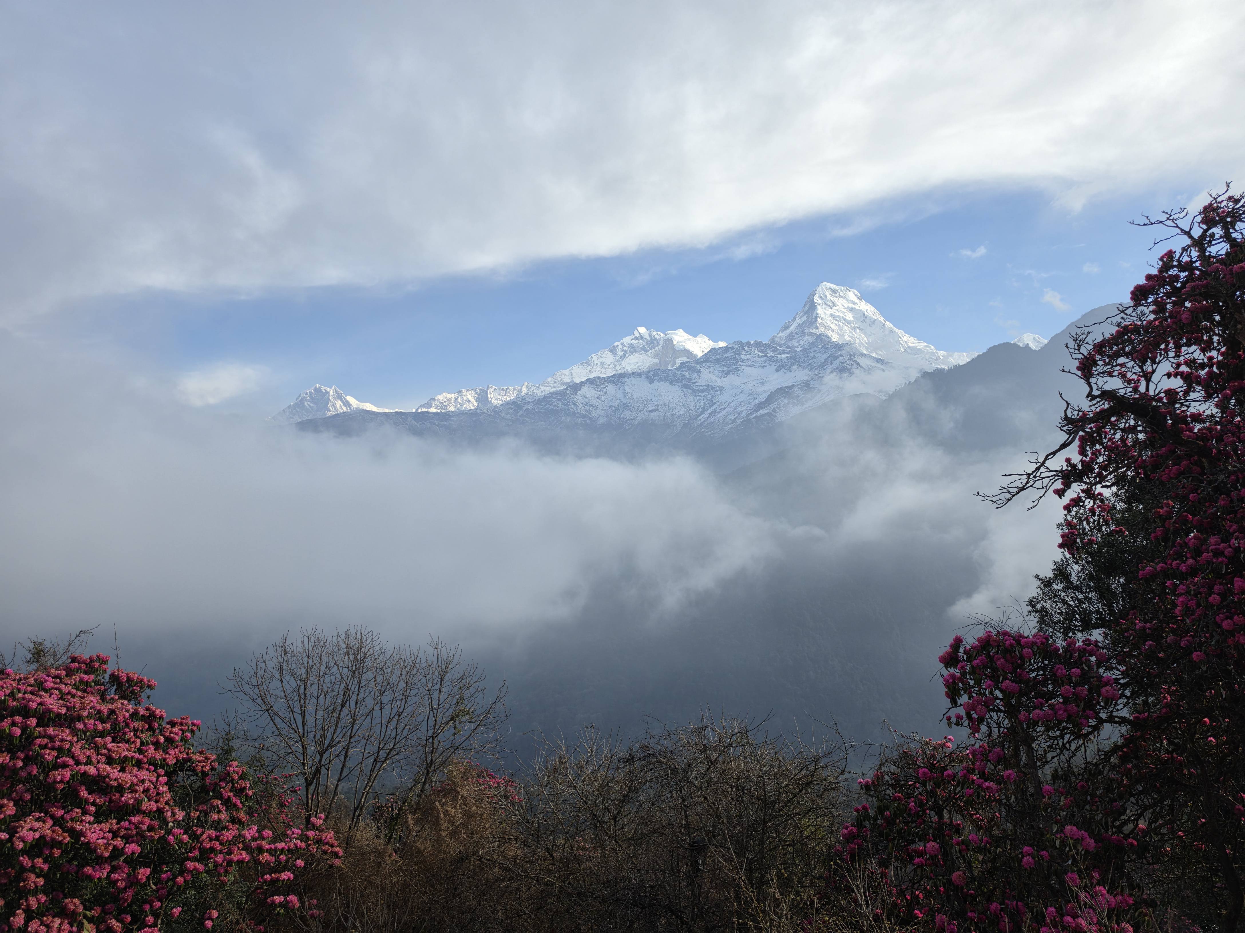 Afbeeldingslocatie: https://tweakers.net/i/m8bGLFxwgXac4MyTD6cOgHJ-6IU=/fit-in/4920x3264/filters:max_bytes(3145728):no_upscale():strip_icc():strip_exif()/f/image/3eLyDINSWyweihF445XBsNHA.jpg?f=user_large