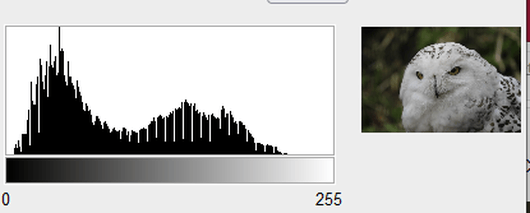 Afbeeldingslocatie: https://tweakers.net/i/mBCr3AAooOcBa6WW_3Zm5byBKeU=/full-fit-in/4000x4000/filters:no_upscale():fill(white):strip_exif()/f/image/kPXWDiuG97tuecjprDizAqir.png?f=user_large