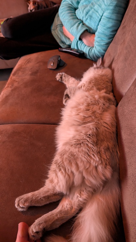 Afbeeldingslocatie: https://tweakers.net/i/mDAWh8UwLxIJFAEGIV-4QNPsjLg=/x800/filters:strip_icc():strip_exif()/f/image/FprPP0erICCRnO5wFNwk1nZF.jpg?f=fotoalbum_large