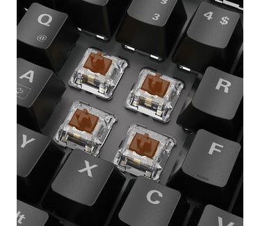 Sharkoon SKILLER SGK20 Brown