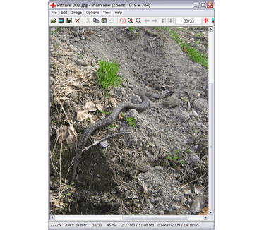 IrfanView screenshot