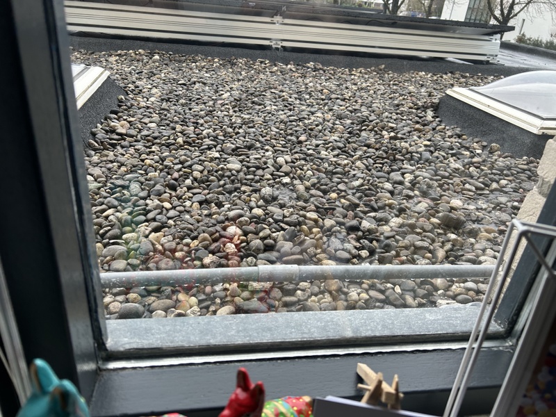 Afbeeldingslocatie: https://tweakers.net/i/mHgChkOHDjDFIFlpF4xb6SCSBTI=/800x/filters:strip_icc():strip_exif()/f/image/jXkvbncJ1yY5DUjjV8eyl7oO.jpg?f=fotoalbum_large