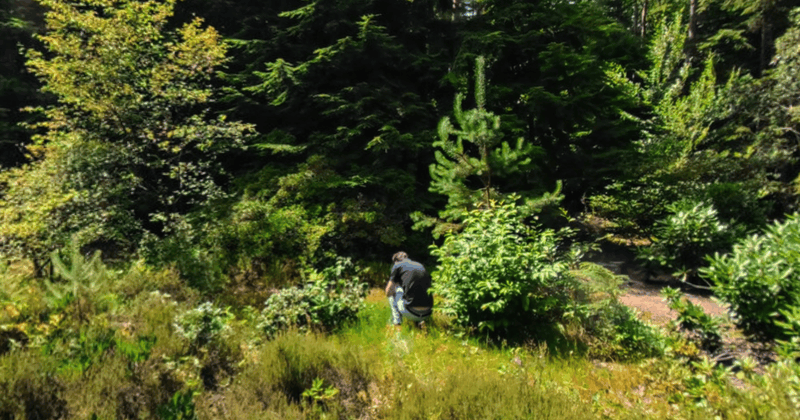 Afbeeldingslocatie: https://tweakers.net/i/mI76uBE8nATIOy9cyQ8AO2lv5lU=/800x/filters:strip_exif()/f/image/2UxI0rbnTqVgeoe2TxQjefNr.png?f=fotoalbum_large