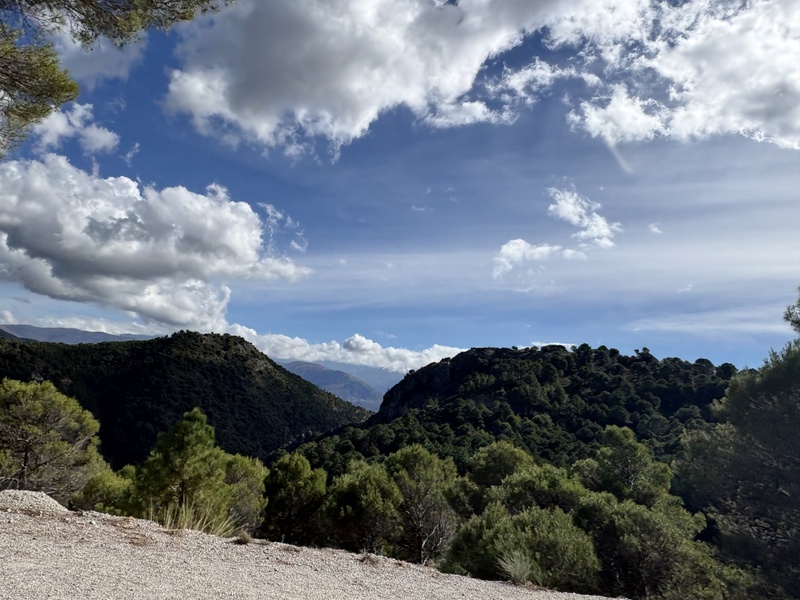 Afbeeldingslocatie: https://tweakers.net/i/mK7braNsFe94OLsrV-9ZnyEaOsI=/800x/filters:strip_icc():strip_exif()/f/image/O4SFku5TDGmSB61YdVJcVnMD.jpg?f=fotoalbum_large