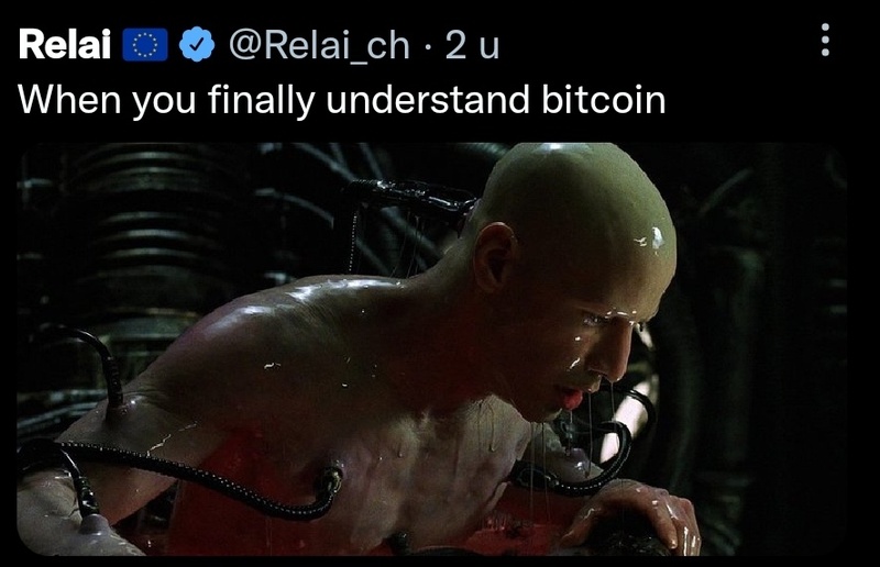 Afbeeldingslocatie: https://tweakers.net/i/mMJXmx5cvxlvUByeYFR2oD7QjjA=/800x/filters:strip_icc():strip_exif()/f/image/vL47GJxnfTFcaQpCql0jX0YP.jpg?f=fotoalbum_large