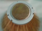 Warm Tek Hedgehog