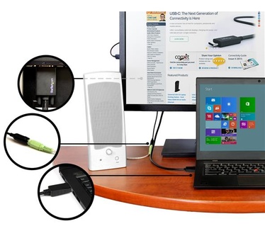 Startech.com DisplayPort naar VGA adapter kabel met audio 3m