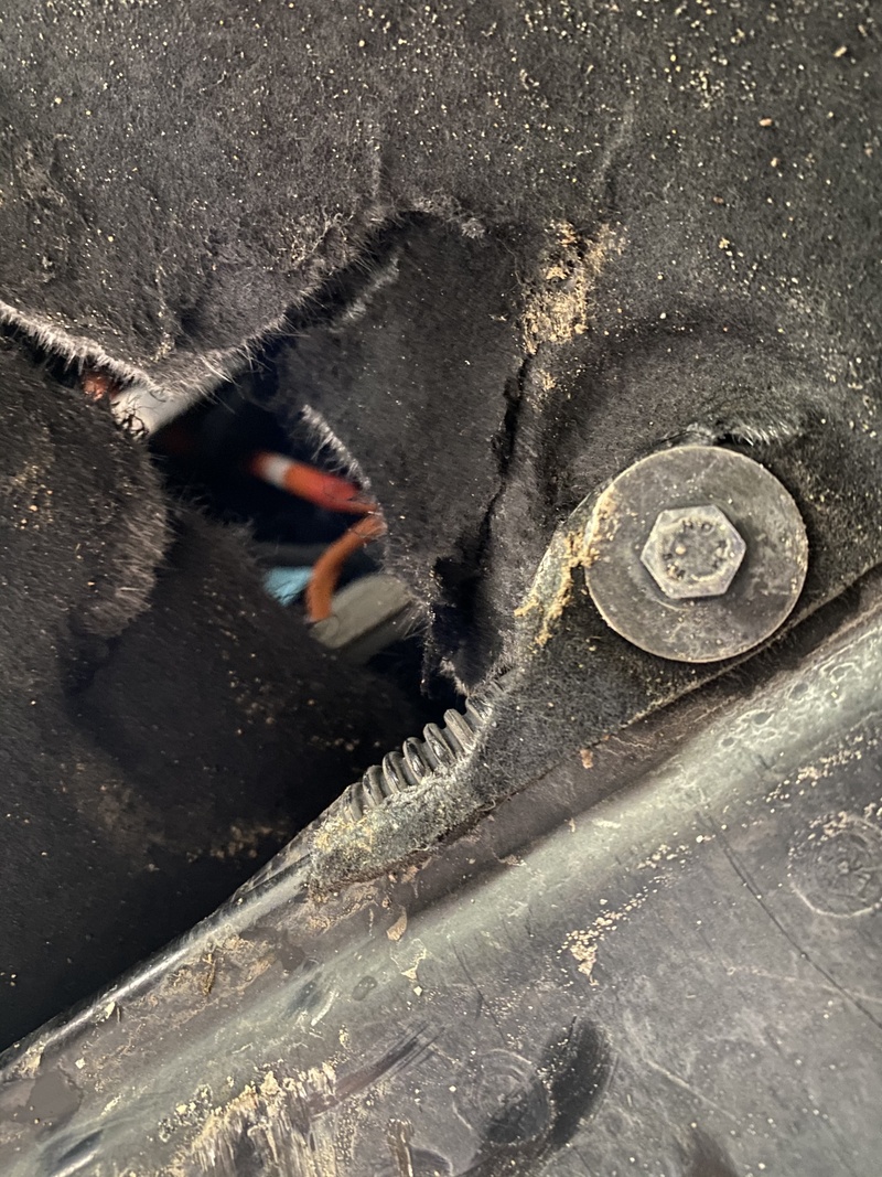 Afbeeldingslocatie: https://tweakers.net/i/mOD5olZh35BLGVAXWEMJa9JJ06U=/800x/filters:strip_icc():strip_exif()/f/image/V6G2y52xuUrbk8NgizwdLNgT.jpg?f=fotoalbum_large