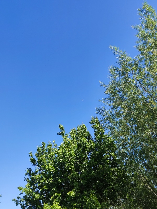 Afbeeldingslocatie: https://tweakers.net/i/mPV9nK6JQRyulspNvyO5iQCvXD0=/x800/filters:strip_icc():strip_exif()/f/image/bAl2ybARA8RgseV8ukbhsEBe.jpg?f=fotoalbum_large