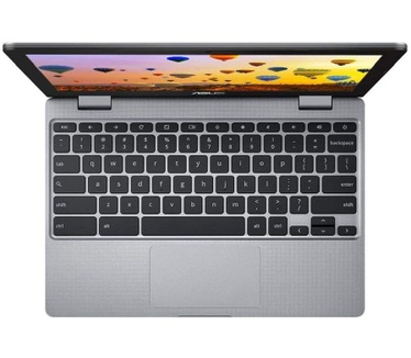 Asus Chromebook 12 C223NA-GJ0014