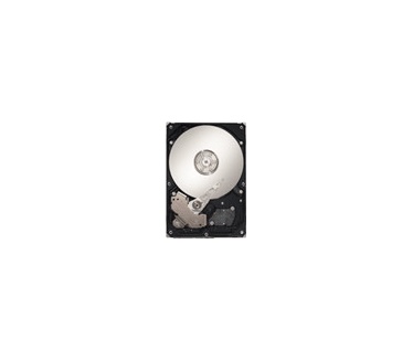 Seagate Barracuda ES ST3500630NS, 500GB