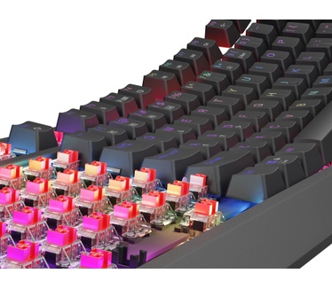 Genesis Thor 230 TKL