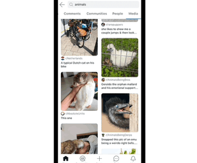 Het nieuwe 'Media'-tabblad van de zoekresultaten van de iOS-app van Reddit