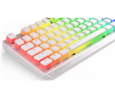 ENDORFY Thock TKL