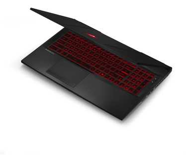 MSI GL75 10SDR-271NL Leopard