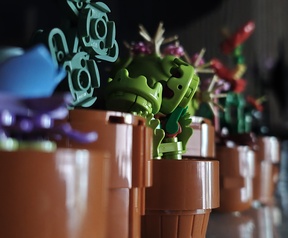 Cameratest - 2x zoom