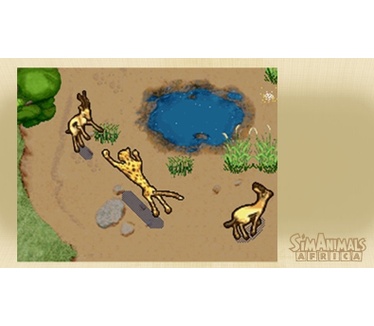 SimAnimals - Africa, Nintendo DS