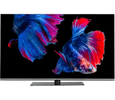 Medion LIFE X15564 OLED Smart-TV | 138,8 cm (55 inch) Ultra HD Display | HDR | Dolby Vision | Dolby Atmos | Micro Dimming | MEMC | 100 Hz | PVR ready | Netflix | Amazon Prime Video | Bluetooth | DTS HD | HD Triple Tuner | CI+
