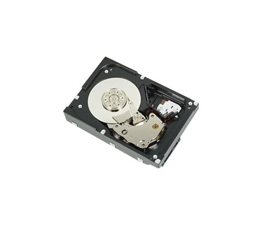 Dell 1.2TB SAS