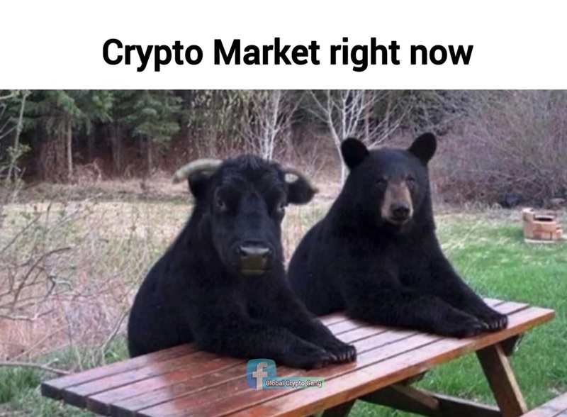 Afbeeldingslocatie: https://tweakers.net/i/mfCEHsQzxgFyJedXZ2cBqQ-_NVI=/800x/filters:strip_icc():strip_exif()/f/image/VAFJ7Ta8QJ4ttfwbWeOVIjwz.jpg?f=fotoalbum_large