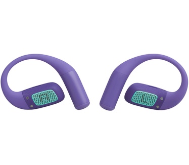 JBL Endurance Zone