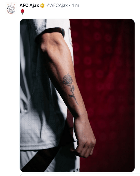 Afbeeldingslocatie: https://tweakers.net/i/mgKc8U6QMH5Lxu_xqIQPzcb5u34=/fit-in/4000x4000/filters:no_upscale():strip_exif()/f/image/KtPsLt7Vx0OAxoKLdOTfMvul.png?f=user_large