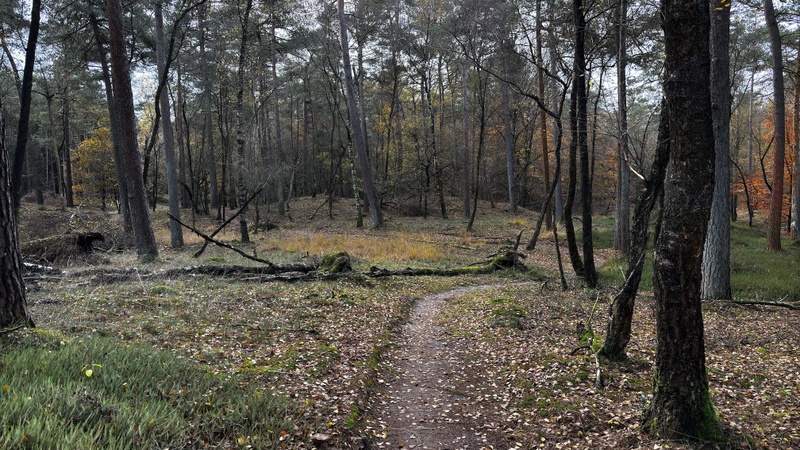 Afbeeldingslocatie: https://tweakers.net/i/mh5rCHZS_LZS1-YvX50W-WAVSHI=/800x/filters:strip_icc():strip_exif()/f/image/wU1EMeog4diznFN91wWIwph1.jpg?f=fotoalbum_large