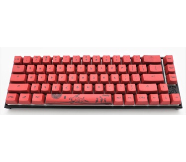 Ducky Year of the Pig edition 65% RGB MX Silent US