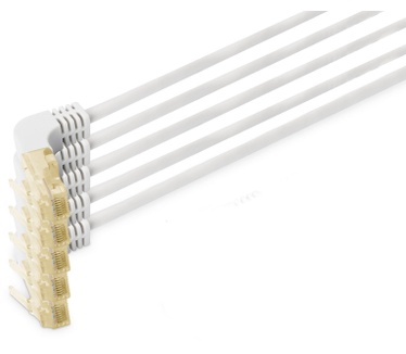 Digitus DK-1644-A-07090-5 Grijs