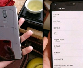 OP6