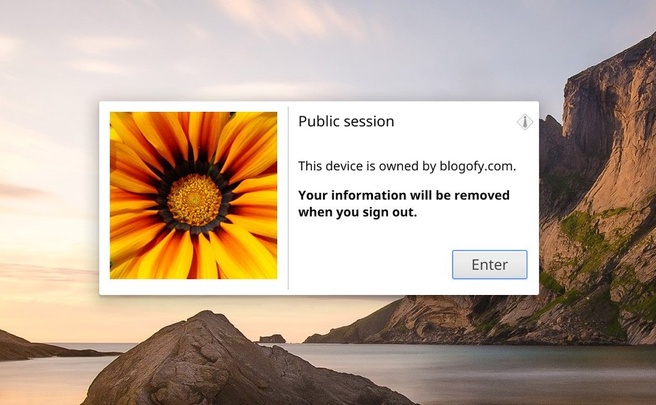 Google Chrome Public Session