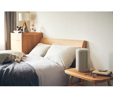 Sony SRS-RA3000
