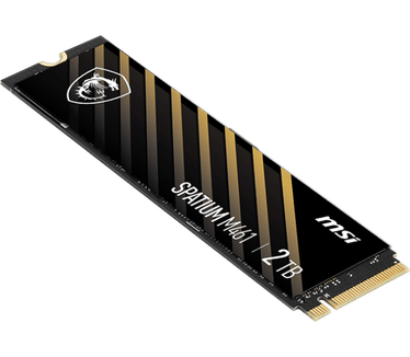 MSI Spatium M461 2TB