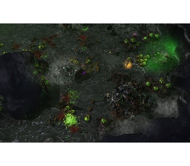 StarCraft II: Heart of the Swarm, Windows