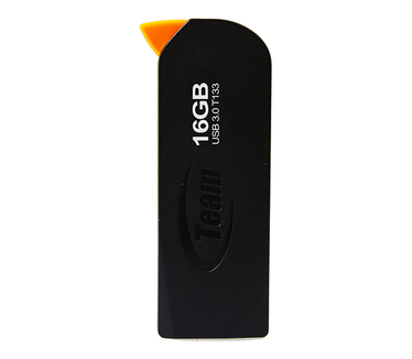 Team Group T133 16GB Zwart