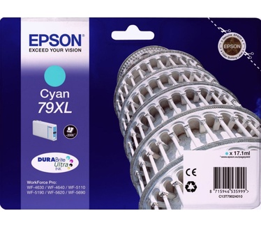 Epson C13T79024010