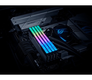 Klevv 32 GB DDR5-6200 (2x 16 GB) Kit werkgeheugen