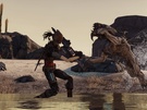 E3: Borderlands