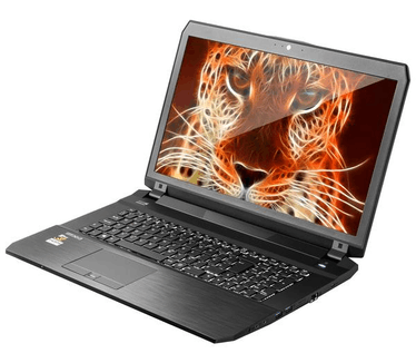 Clevo P670RP6-G