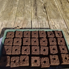 Afbeeldingslocatie: https://tweakers.net/i/n5phJbifUNvWIMBIJcWtzUBYMxo=/232x232/filters:strip_icc():strip_exif()/f/image/yUWdkQNz1V5FgnvUWgYHbnK5.jpg?f=fotoalbum_tile