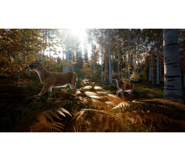 Hunting Simulator 2