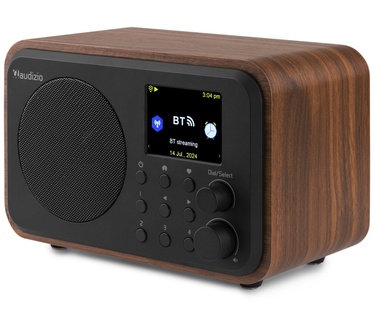 Audizio Vicenza WD