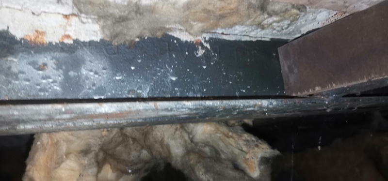 Afbeeldingslocatie: https://tweakers.net/i/n8VYKk3VBZGTLiD75TyuuqqjHGE=/800x/filters:strip_icc():strip_exif()/f/image/Y1UwBvGSb6FpuueT9TaD83xx.jpg?f=fotoalbum_large