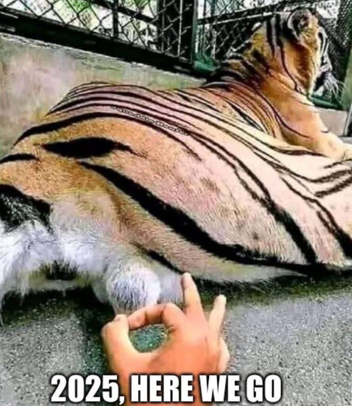 Afbeeldingslocatie: https://tweakers.net/i/n9IygnhQqh1C58hZHF4pmgpsDjA=/x800/filters:strip_exif()/f/image/9Xtc3xqsCzP66uYGd7LdwlPk.png?f=fotoalbum_large