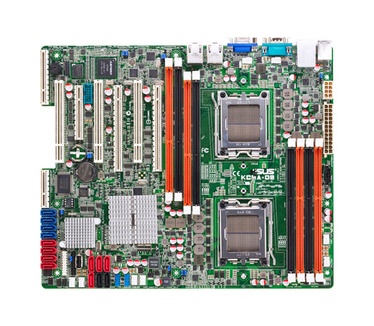 Asus KCMA-D8