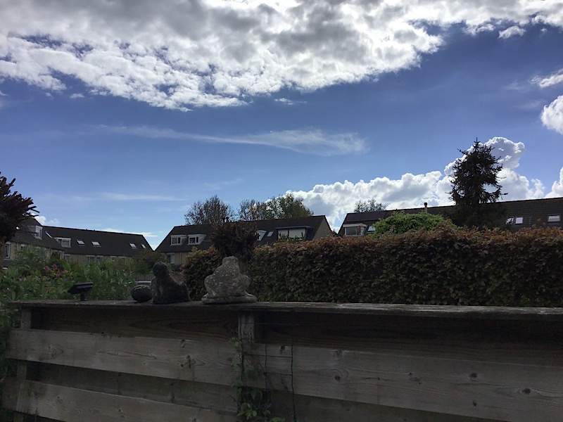 Afbeeldingslocatie: https://tweakers.net/i/nCoabqL-R9-iUPNHMnwIlLcARrg=/full-fit-in/4920x3264/filters:max_bytes(3145728):no_upscale():strip_icc():fill(white):strip_exif()/f/image/RAUnsHVkuIIHmsOZTtpwCcQV.jpg?f=user_large