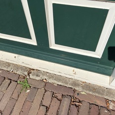 Afbeeldingslocatie: https://tweakers.net/i/nGzmIZl4dJA3JG-w4e5VJzlcACQ=/232x232/filters:strip_icc():strip_exif()/f/image/EbfnpqqkkfsgygUS3AqGNQay.jpg?f=fotoalbum_tile