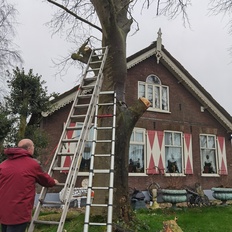 Afbeeldingslocatie: https://tweakers.net/i/nJa2UIldDctgqtEYYaMg-Po_lkE=/232x232/filters:strip_icc():strip_exif()/f/image/9bS77DqHcKl8Pg140OgoZNm8.jpg?f=fotoalbum_tile