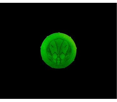 KontrolFreek Spaceland Zombies Edition